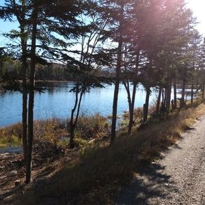 Meet your Posher, Serena